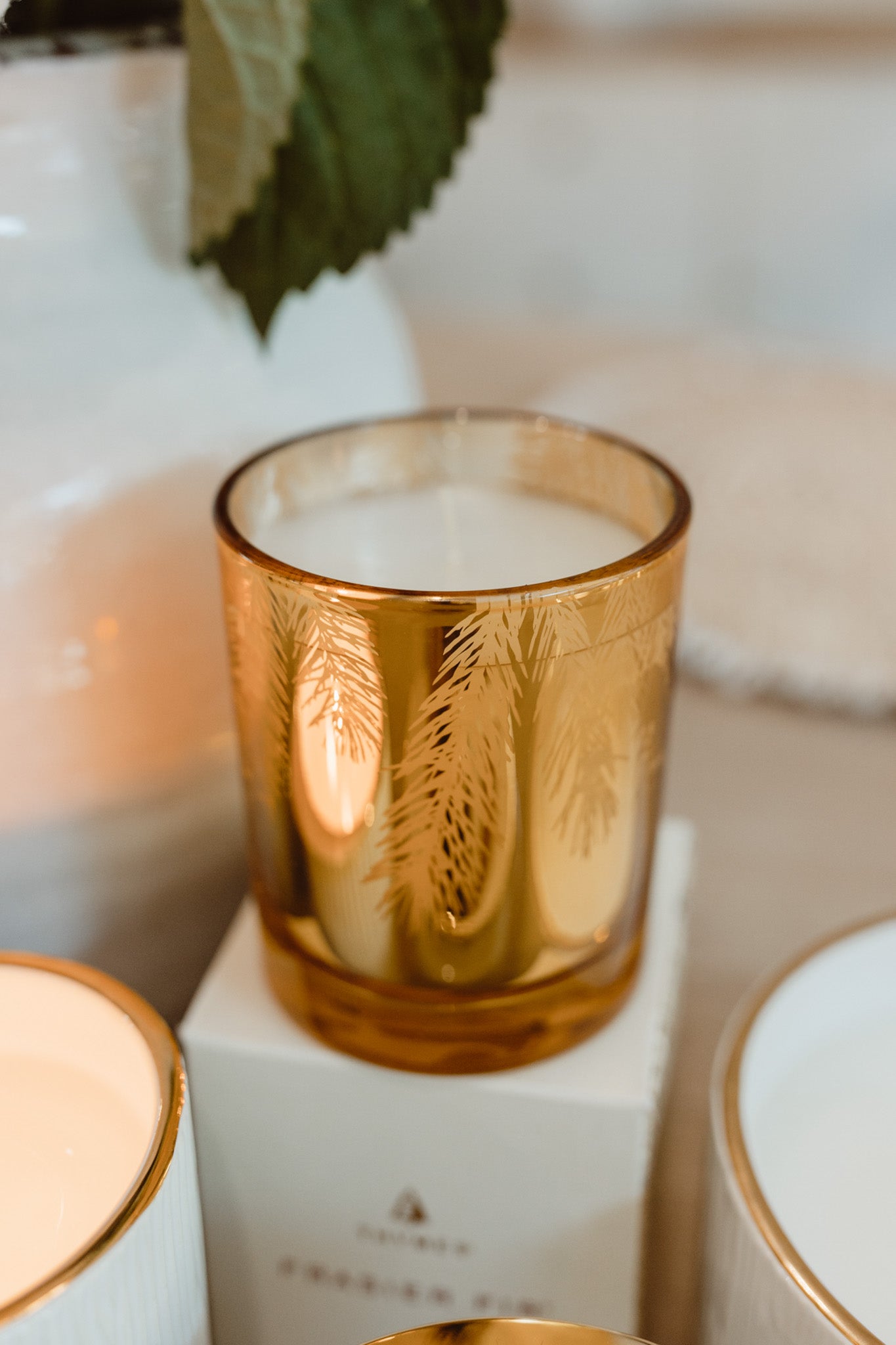 Fraiser Fir Gilded Gold Candle (6.5oz)