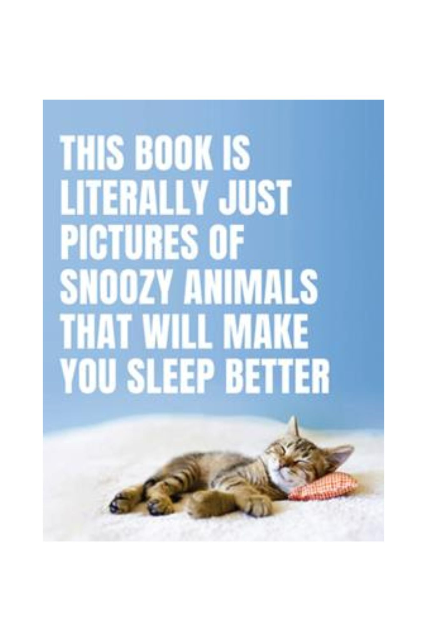 Pictures of Snoozy Animals Book