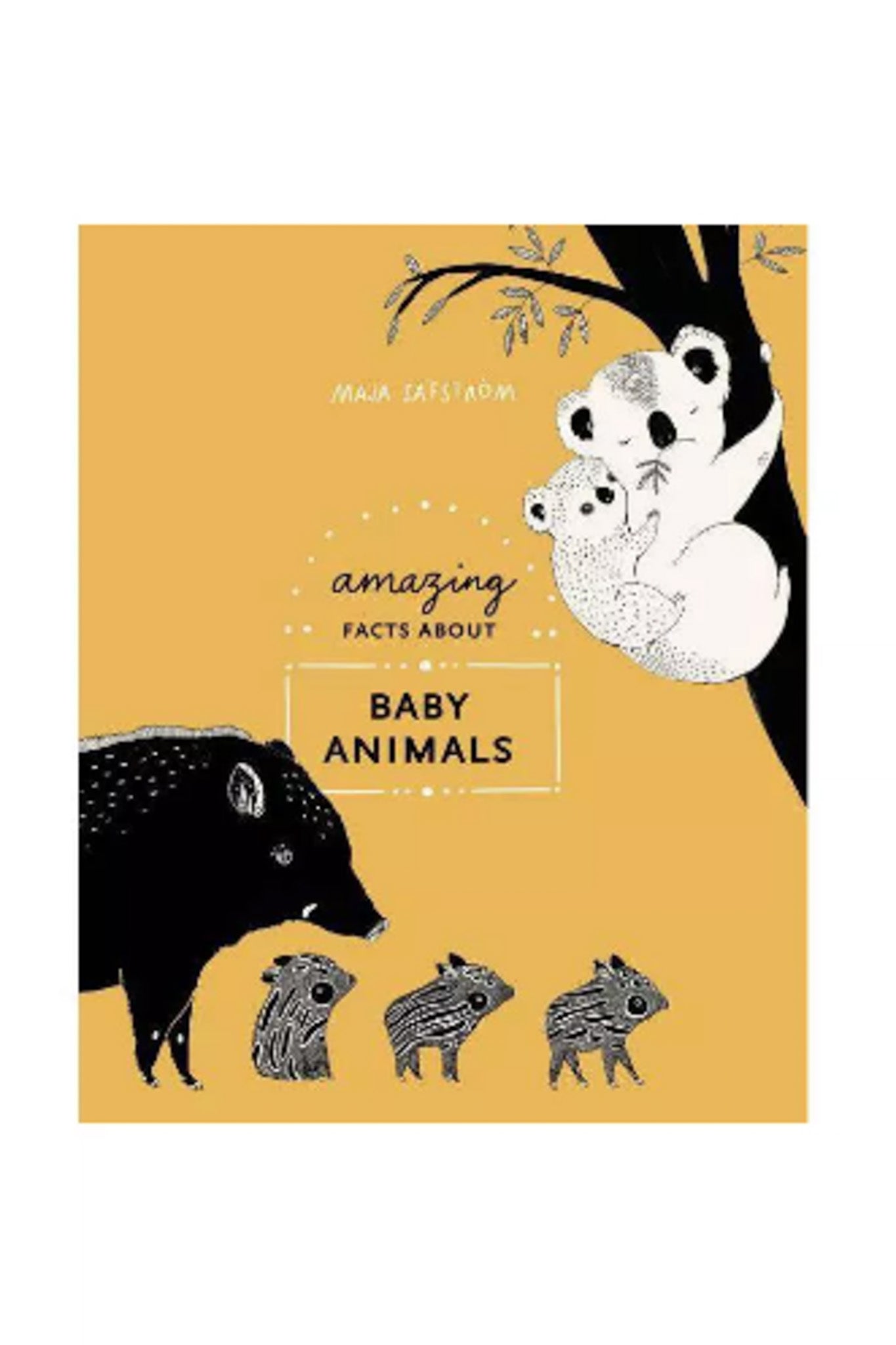 Amazing Facts About Baby Animals
