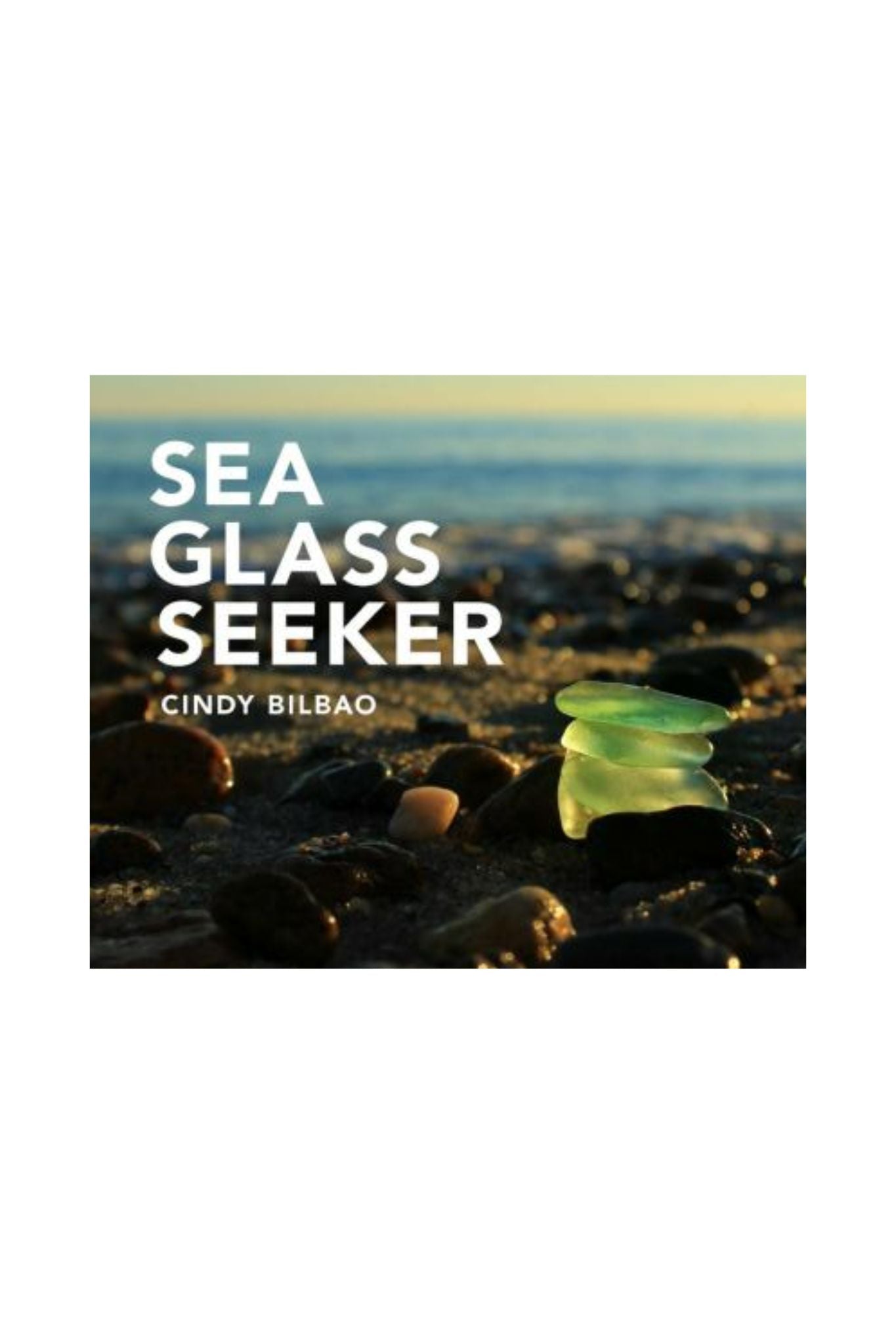 Sea Glass Seeker Book
