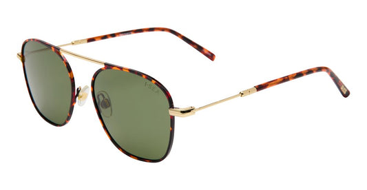 Beckett Polarized Sunglasses - Moss / Green